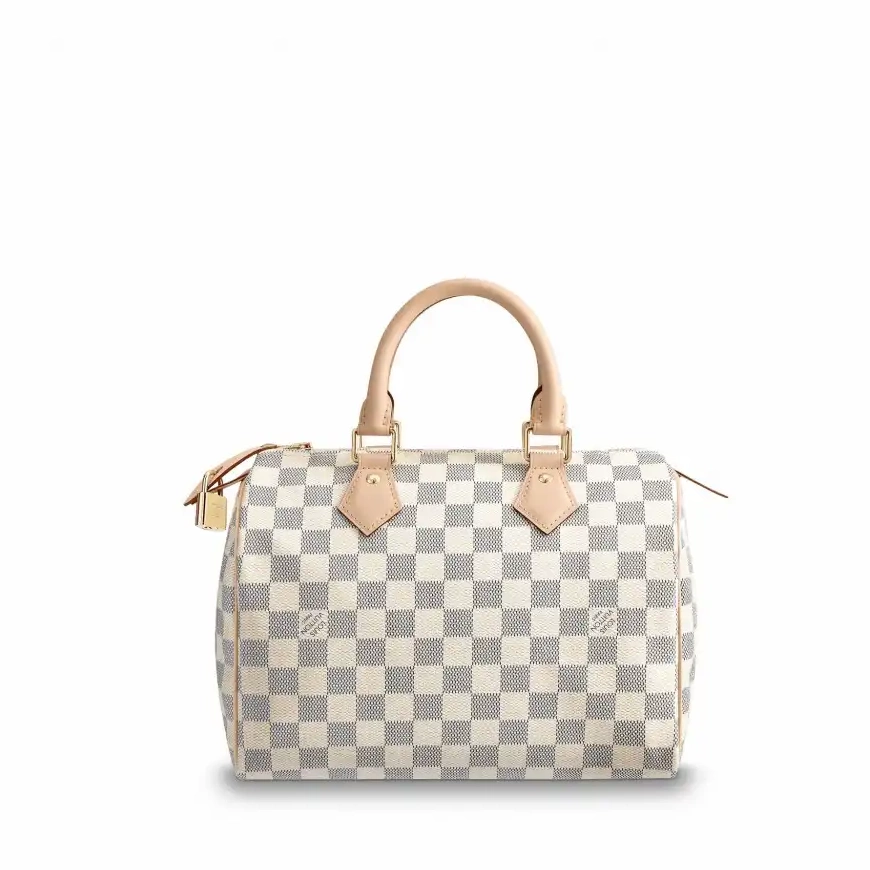 Cheap 25 N41371 Speedy Vuitton Louis 0304