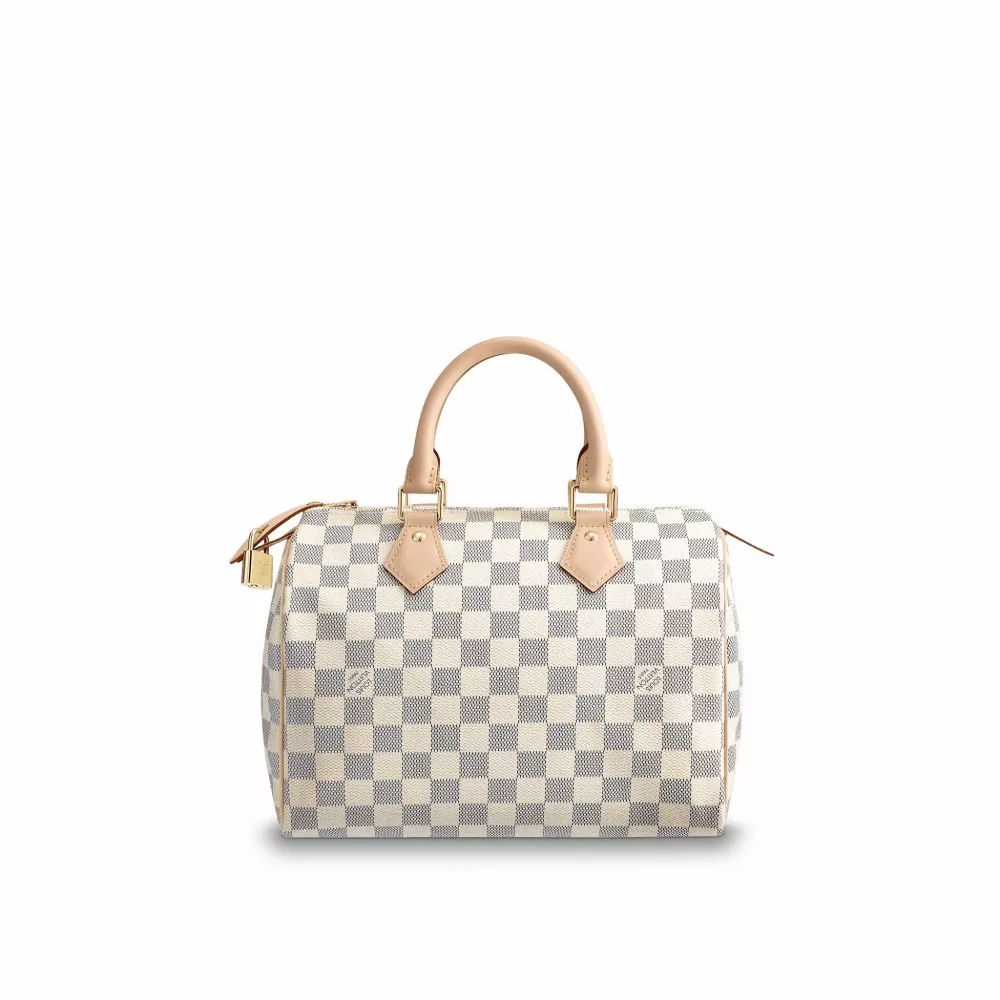 Cheap Louis Vuitton Speedy 25 N41371 0119