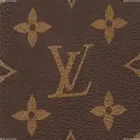 Cheap Louis Vuitton Brazza Wallet M66540 0204